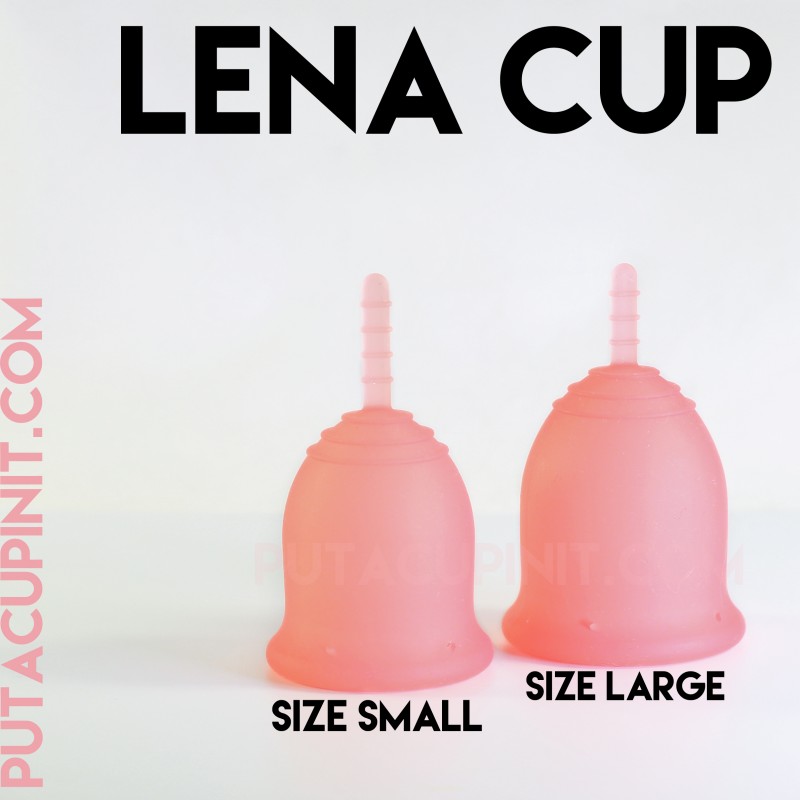 the new Lena Cup