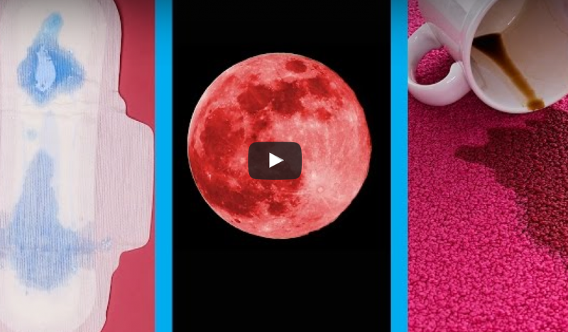What You Don't Know About Your Period