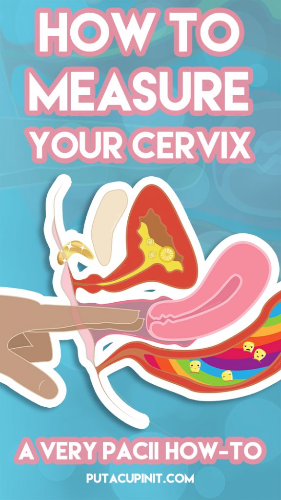 How to Measure Your Cervix PACII